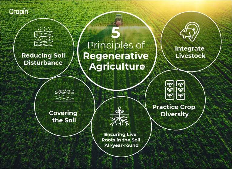 Regenerative Agriculture: From Principles To Common Practices